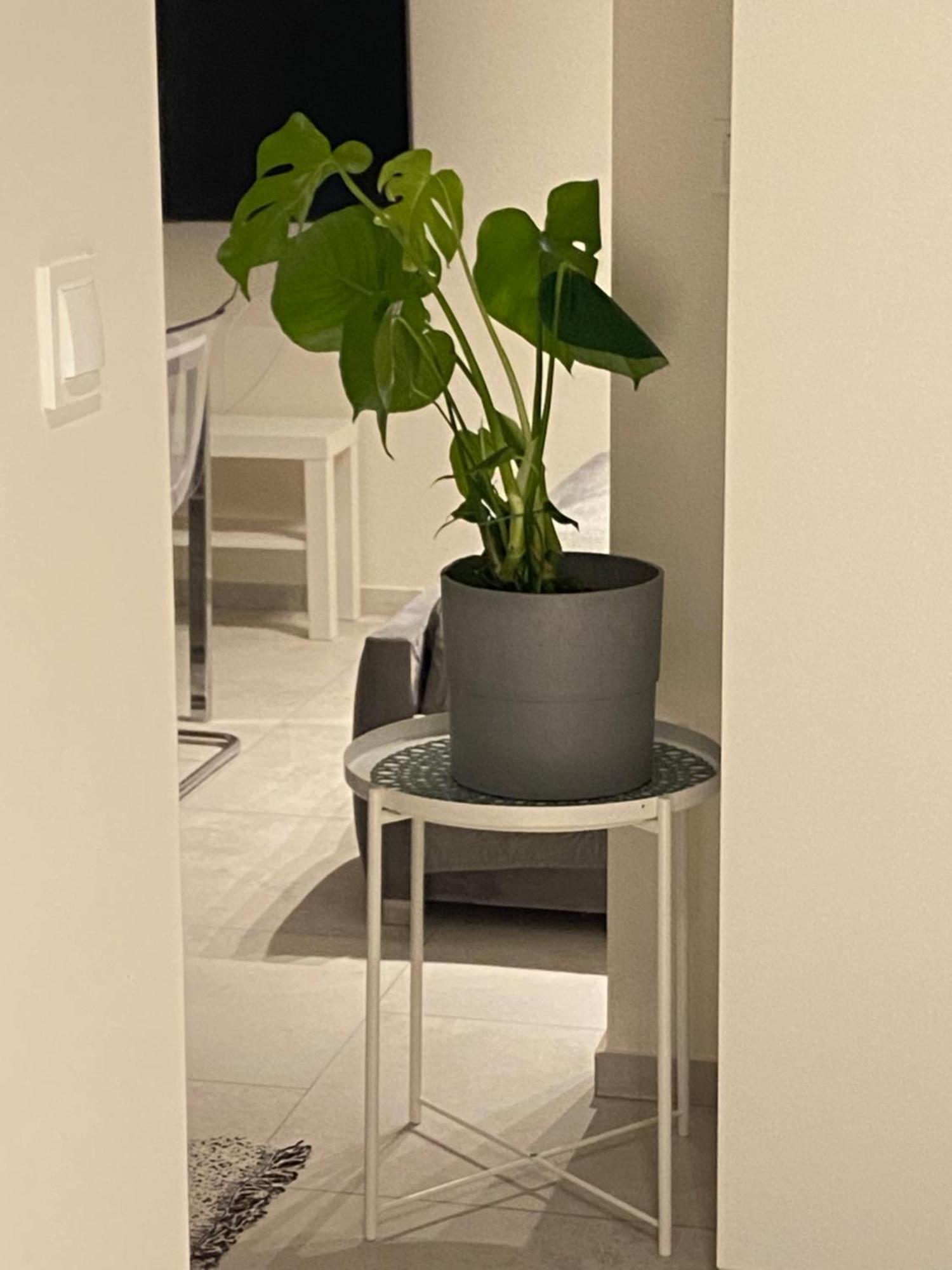 Apartamento Marina 6 Delux Niechorze Exterior foto